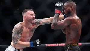 MMA Streams Keep You in the Action Without Cost or Signup